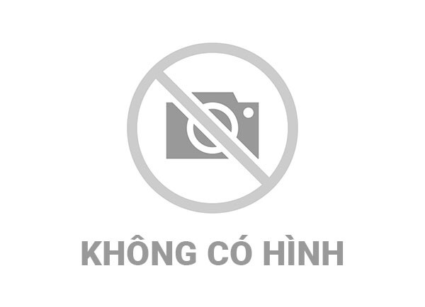 Đảng bộ xã Tân Đoàn quyết tâm đưa tỷ lệ hộ nghèo xuống dưới 1,7% vào năm 2030