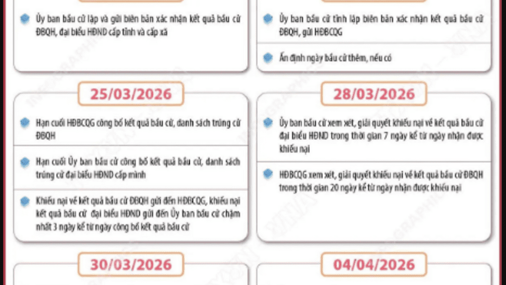 NGÀY 15/3/2026 - NGÀY HỘI LỚN CỦA TOÀN DÂN