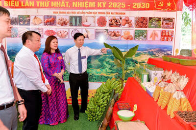 z6874930649726_60a1fb3cec834f661453e07b3ec2134c_549d7