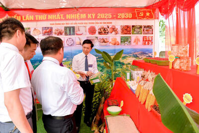 z6874930662134_eb9c4336456d8dfac8d55c144584619e_2bebd