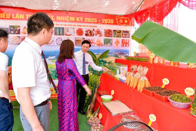 z6874930693569_77f1043a2f169e0b6c2ed725a9507c46_4c69d