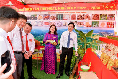 z6874930725429_fba524763f5857390ed50f0d4fcf537e_5a940