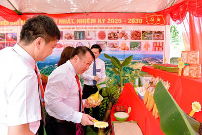 z6874930765528_eb7bc9b32c73a2867edd98691ca8ffa2_fd51e