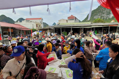 z7246542375639_5e04db006183cda1310277579d8587bc_3396e