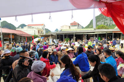 z7246542382702_f870d0b3bb2fadc7f1c8d80a33f2d419_01725