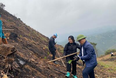 z7556167320811_d708d7fe7e2a69232e0943af4a85346f__1__419dc