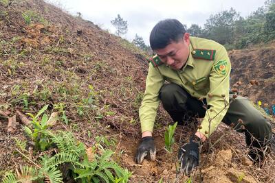 z7556167330921_ab97ec921ebdeee5c42715f1faf9abb6_33b33