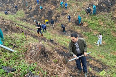 z7556167332127_5243f208079bb8d2db02296fcc120c7e_a8bea