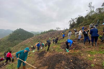 z7556167351290_dc058bfe7717f1c827e55292bba67db6__1__29dc2