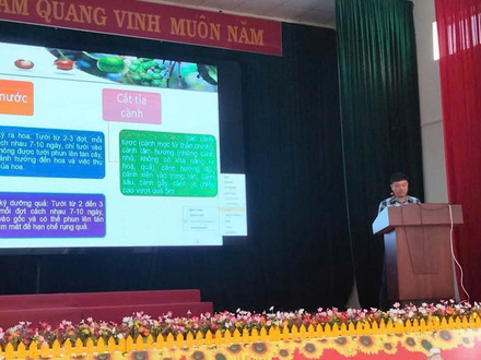 Kinh tế - Chính trị