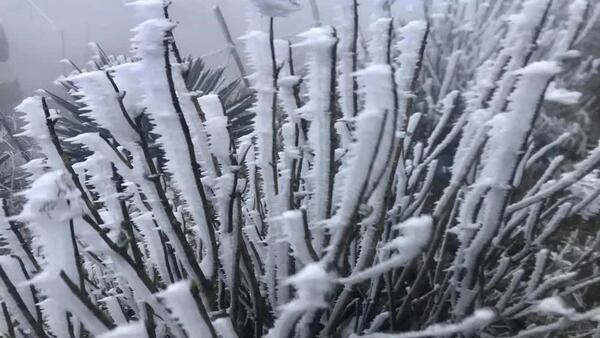 Về việc chủ động ứng phó với rét đậm, rét hại