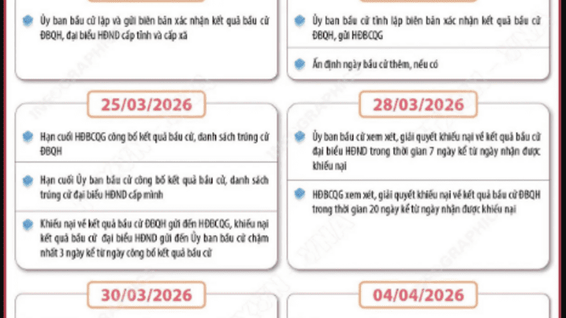 NGÀY 15/3/2026 - NGÀY HỘI LỚN CỦA TOÀN DÂN